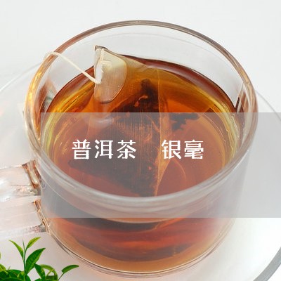 普洱茶 银毫/2023042971323